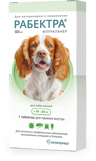 10-20 кг